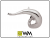 BE86001GG-CMZ-1.png